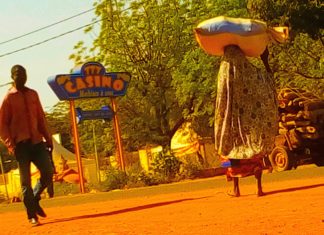 Mali – Bamako: the boom of mobile casinos despite the ban of the authorities