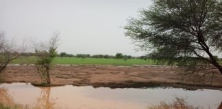 Thinking about land-concerned issues and intercommunity violence beyond the neoliberal approach of the Malian government in Mopti (center of Mali)