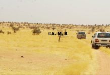 Mali: two candidates in the parliamentarian elections kidnapped during the electoral campaign, still not found