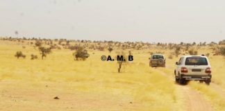 Mali: two candidates in the parliamentarian elections kidnapped during the electoral campaign, still not found