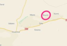 French airstrikes kill at least 19 wedding-goers in central Mali (Residents)