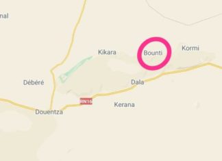 French airstrikes kill at least 19 wedding-goers in central Mali (Residents)