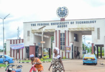 Nigerian graduates struggle for survival after finishing their degree