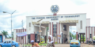 Nigerian graduates struggle for survival after finishing their degree