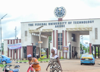 Nigerian graduates struggle for survival after finishing their degree