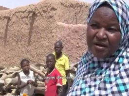 La coupe abusive des arbres s’aggrave à Zinder
