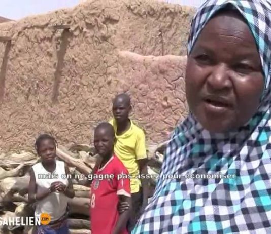 La coupe abusive des arbres s’aggrave à Zinder