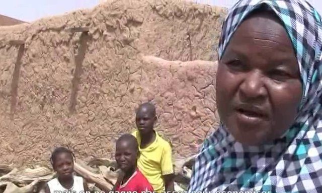 La coupe abusive des arbres s’aggrave à Zinder