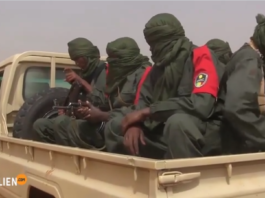 Processus de paix au Mali : à Gao, le MOC ne rassure plus