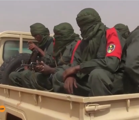 Processus de paix au Mali : à Gao, le MOC ne rassure plus
