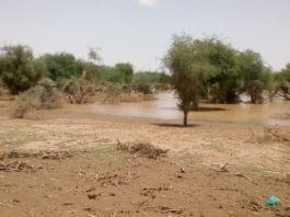 Niger : les inondations ont affecté près de 194 000 personnes