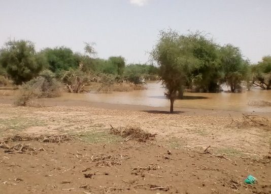 Niger : les inondations ont affecté près de 194 000 personnes