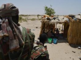 Niger – Diffa : une dizaine de morts après une bavure militaire au sud de la commune de Toumour