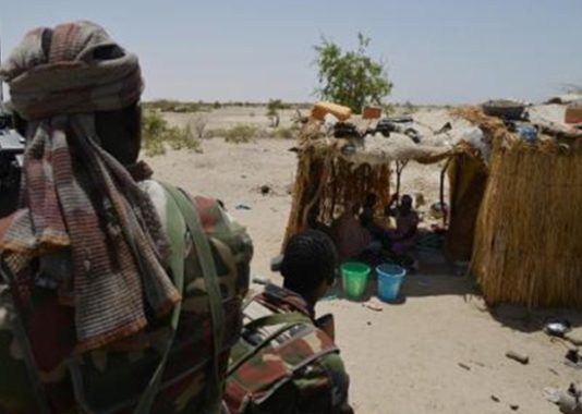 Niger – Diffa : une dizaine de morts après une bavure militaire au sud de la commune de Toumour