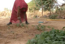 Mali – Kidal : victimes de la crise, des femmes se tournent vers des activités génératrices de revenus