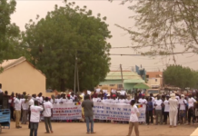 Mali – Gao : images de la marche de soutien à la révision constitutionnelle