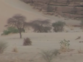 Niger: crash d’un drone de l’armée américaine à Agadez