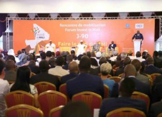 Forum Invest in Mali : le compte à rebours est lancé
