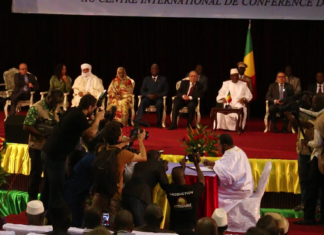 Régime de sanctions pour le Mali : le Conseil de sécurité donne son feu vert