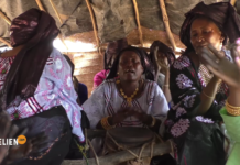 Niger : à la découverte du Tendé, un instrument fédérateur des peuples nomades