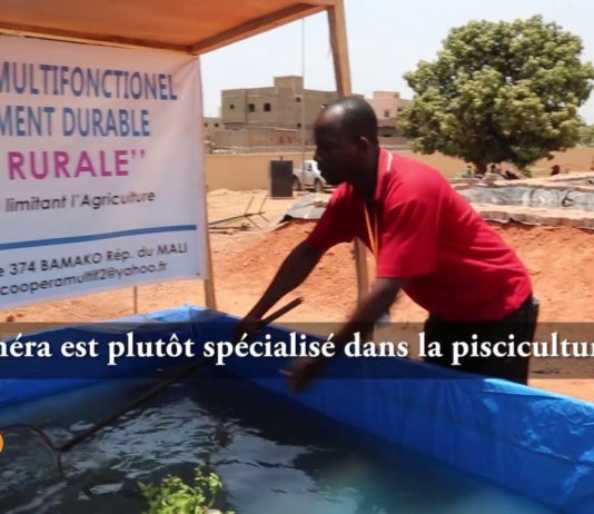 SIAGRI 2018 : rencontre avec deux passionnés d’élevage