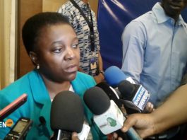 Mali/Présidentielle : la mission d’observation de l’UE fait le point des préparatifs