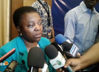 Mali/Présidentielle : la mission d’observation de l’UE fait le point des préparatifs