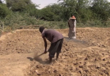 Tombouctou: les cultivateurs ne se sentent pas en sécurité dans leurs champs