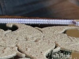 Mali : quand les céréales sont utilisées dans la décoration