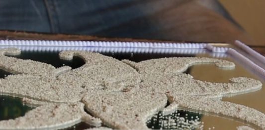 Mali : quand les céréales sont utilisées dans la décoration