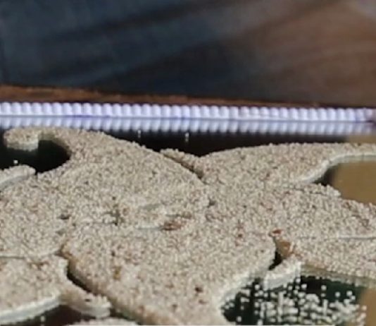 Mali : quand les céréales sont utilisées dans la décoration