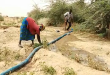 Goundam : ces maraîchers en situation de handicap qui contribuent à la sécurité alimentaire