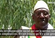 Mali : à Diré, “le problème foncier nous inquiète”