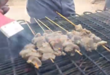 Niger : après avoir été refoulé trois fois, Ousmane Baldé rêve d’un «grand restaurant pour migrants africains» à Agadez