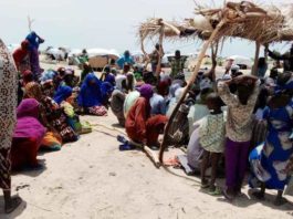 Niger : à Diffa, « la situation sécuritaire reste précaire »