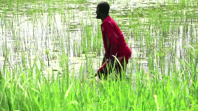 Niger: « Le changement climatique pèse sur nous … et on risque de partir vers d’autres horizons »