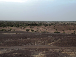 Communiqué du gouvernement suite à l’attaque du poste de l’armée à Bambara-Maoudé