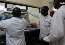 Au Sahel, les chercheurs intensifient les efforts pour éliminer le paludisme