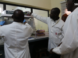 Au Sahel, les chercheurs intensifient les efforts pour éliminer le paludisme