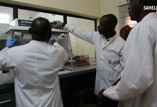 Au Sahel, les chercheurs intensifient les efforts pour éliminer le paludisme