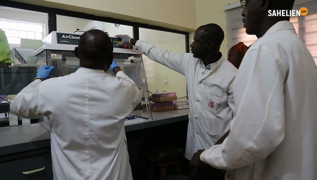 Au Sahel, les chercheurs intensifient les efforts pour éliminer le paludisme