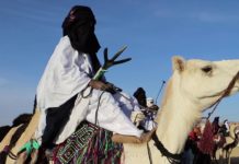 Festival de l’Aïr: le défi de relancer le tourisme