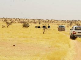 Mali: deux candidats aux législatives enlevés pendant la campagne électorale, toujours introuvables