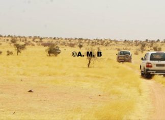 Mali: deux candidats aux législatives enlevés pendant la campagne électorale, toujours introuvables