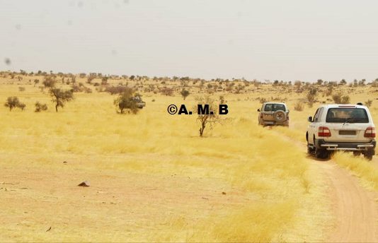 Mali: deux candidats aux législatives enlevés pendant la campagne électorale, toujours introuvables