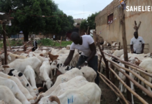 Mali: Tabaski, « la situation actuelle du marché nous fait peur »