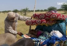 Mali : Mahachi Ag Alkalifa, l’infirmier des populations isolées