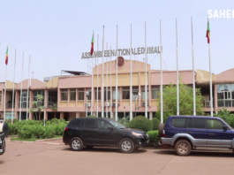 Mali: les députés de la transition sont désormais connus