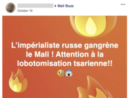 Facebook dévoile une campagne de désinformation de l’armée française visant le Mali