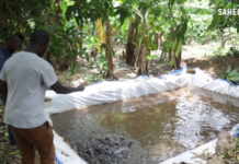 Mali: la pisciculture, une alternative à la diminution des ressources halieutiques